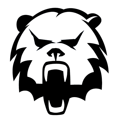 Kodiak camera logo design